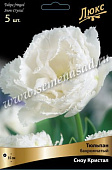 Тюльпан Сноу Кристал  (10 шт)