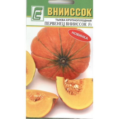 Тыква Первенец ВНИИССОК