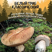 Грибы Белый гриб классический 15г/30мл