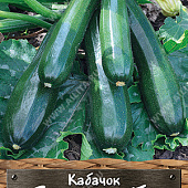 Кабачок Багира цуккини 5шт