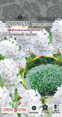 Лаванда Снежный колос узколистная 5шт
