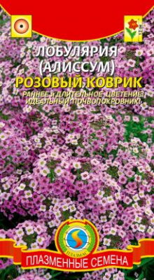 цЛобулярия(Алиссум) Розовый коврик