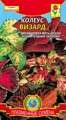 цКолеус Визард смесь 10шт +