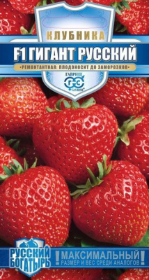 Клубника Гигант Русский 5шт Русский богатырь