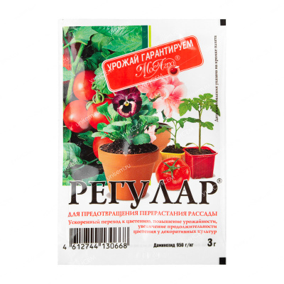 Регулар 3 г (70 шт) #