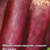 Свекла Багряный цилиндр 3г