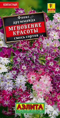 Флокс Мгновение красоты смесь друмм.0,1г