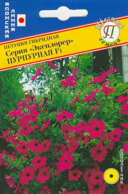 цПетуния Эксплорер пурпурная 5др