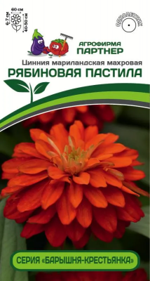 Цинния Рябиновая пастила (Барышня-крестьянка) 4шт