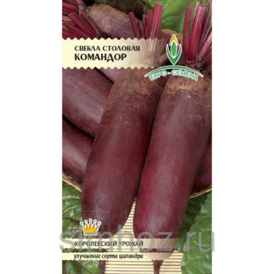 Свекла Командор 4г
