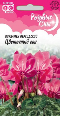 цЦикламен Цветочный сон 3шт Розовые сны!