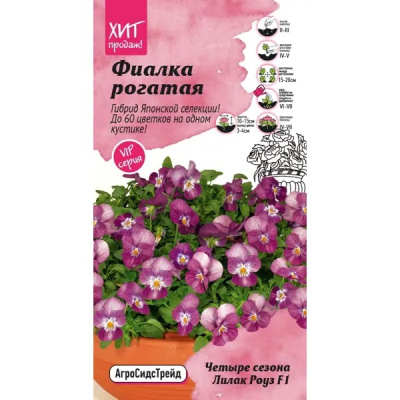 цФиалка Четыре сезона Лилак Роуз 5шт
