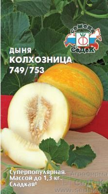 Дыня Колхозница