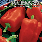 Перец Арктика 20шт