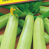 Кабачок Аймаран 5шт (Голландия)