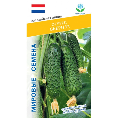 Огурец Бьерн 7шт VITA GREEN
