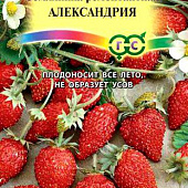 Земляника Александрия 0,03г