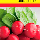 Редис Аполлон 0,5г