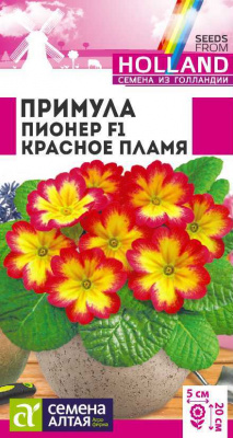 цПримула Пионер Красное Пламя 5 шт