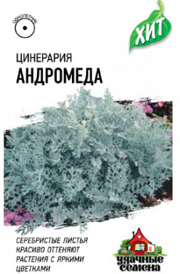 Цинерария Андромеда ХИТ 0,05г