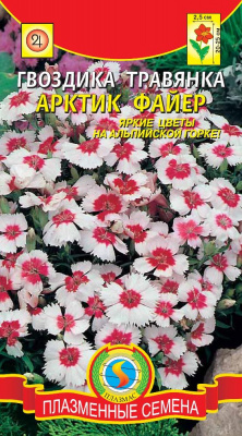 цГвоздика травянка Арктик файр