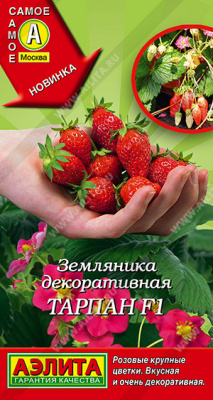 Земляника Тарпан 5шт рем.