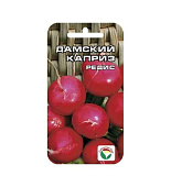 Редис Дамский каприз двойной объем 4 г (не дрябнет, прекрасно подходит для сибирских условий.