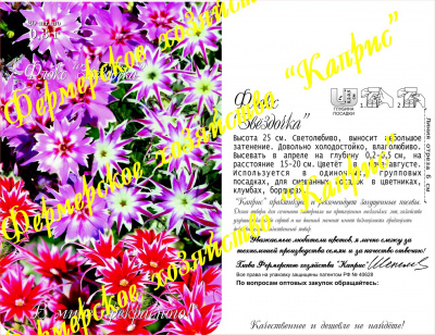 цФлокс Звездочка (20пак*0,3г) Германия