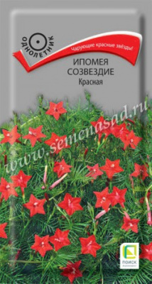 цИпомея Созвездие Красная 0,3гр