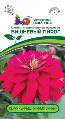 Цинния Вишневый пирог (Барышня-крестьянка) 5шт