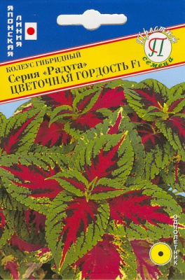 цКолеус Радуга Цветочная гордость 10шт