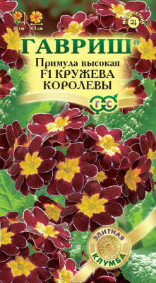 цПримула Кружева королевы 5шт