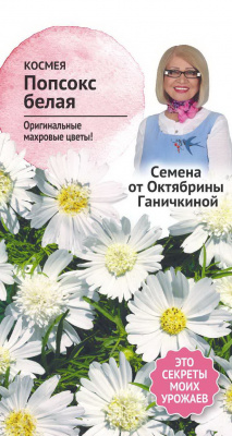 цКосмея Попсокс белая 10 шт (семена от Ганичкиной)