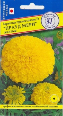 цБархатцы Прауд Мэри желтые 5шт