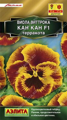 цВиола Кан-кан терракотта 7шт