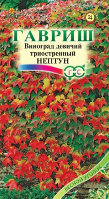 цВиноград Нептун 5шт
