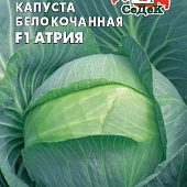 Капуста бк Атрия 10шт