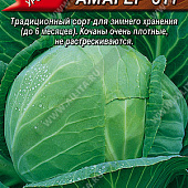 Капуста бк Амагер 0,5г позднеспелая