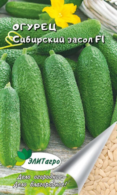 Огурец Сибирский засол 0,3 г.