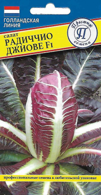 Салат Радиччио Джиове 5шт (Голландия)