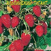 Земляника Альпийский Гигант 0,03г