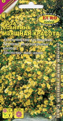 цРоза Изящная красота 0,1г