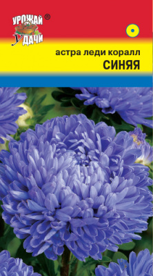 цАстра Леди Корал Синяя