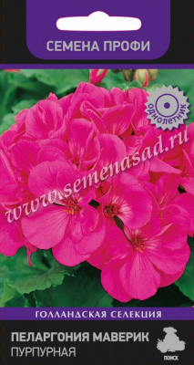 Пеларгония Маверик Пурпурная 5шт