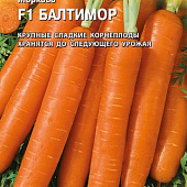 Морковь Балтимор 150шт (Голландия)