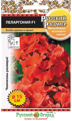 Пеларгония Русский размер красная 5шт