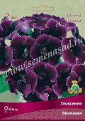 Глоксиния Виолацея (1 шт)