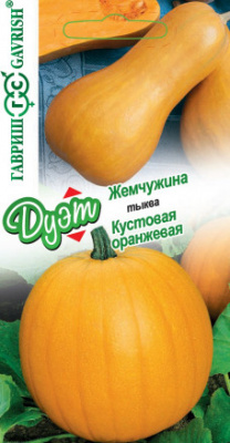 Тыква Жемчужина 1г+ Кустовая оранжевая 1г Дуэт