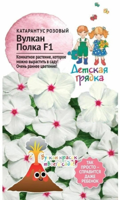 цКатарантус Вулкан Полка 5 шт Детская грядка