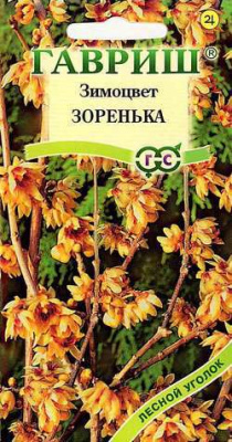цЗимоцвет Зоренька 3шт